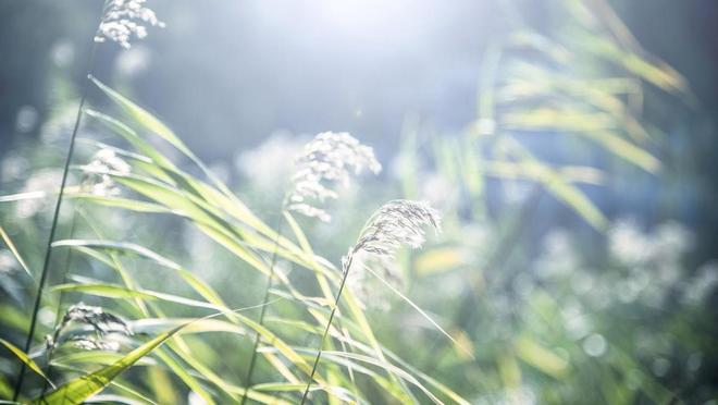 2024年成人高考本周末开考这些注意事项你必须知道!大象网盟(图3)