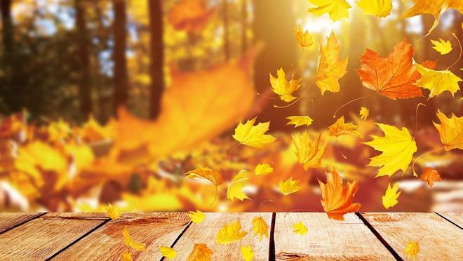 2024年成人高考本周末开考这些注意事项你必须知道!大象网盟(图1)