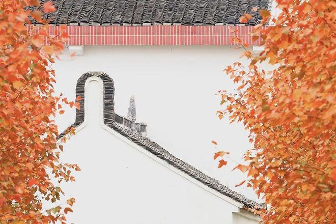 逃课玩游戏的我是如何从专科到研究生！(图3)